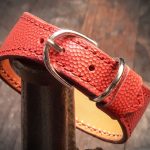 dog collar